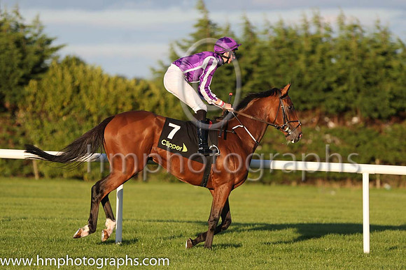 4th Sir Isaac Newton ( 7 ) - purple, white seams ( Joseph O'Brien ) : Trainer - A P O'Brien