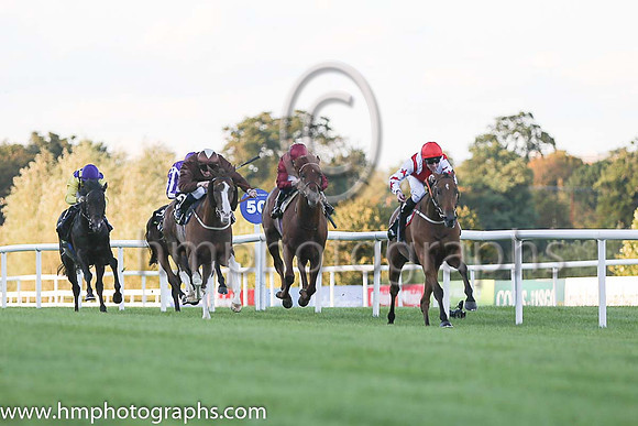 1st Custom Cut ( 2 ) - red, white epaulettes ( Daniel Tudhope ) : Trainer - David O'Meara