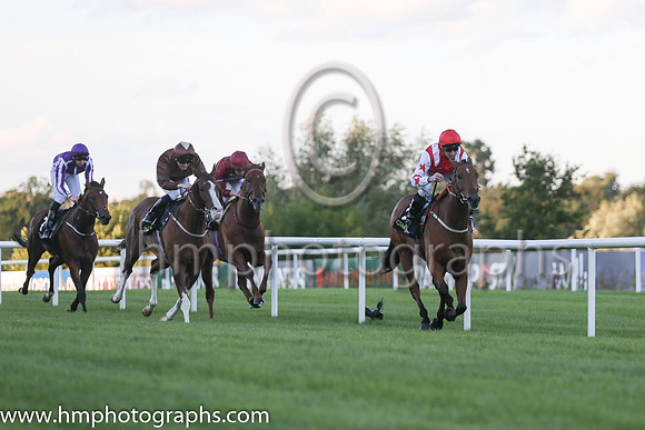 1st Custom Cut ( 2 ) - red, white epaulettes ( Daniel Tudhope ) : Trainer - David O'Meara