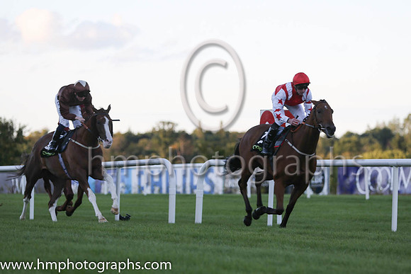1st Custom Cut ( 2 ) - red, white epaulettes ( Daniel Tudhope ) : Trainer - David O'Meara