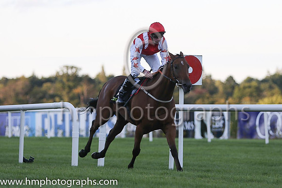 1st Custom Cut ( 2 ) - red, white epaulettes ( Daniel Tudhope ) : Trainer - David O'Meara