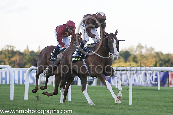 2nd Top Notch Tonto ( 5 ) - brown, brown cap ( Chris Hayes ) : Trainer - Brian Ellison