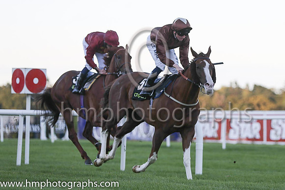 2nd Top Notch Tonto ( 5 ) - brown, brown cap ( Chris Hayes ) : Trainer - Brian Ellison