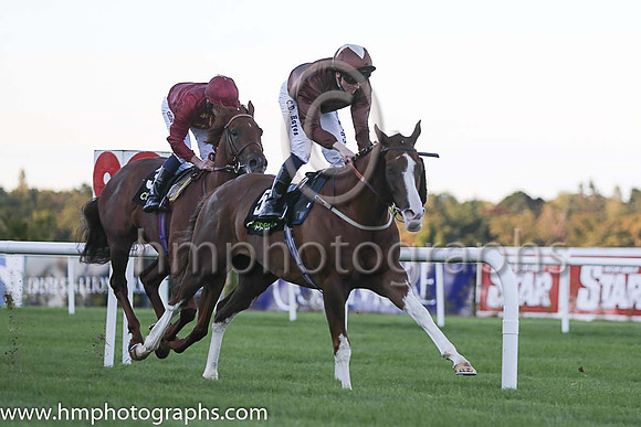 2nd Top Notch Tonto ( 5 ) - brown, brown cap ( Chris Hayes ) : Trainer - Brian Ellison