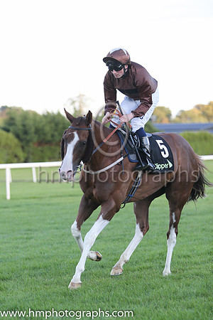 2nd Top Notch Tonto ( 5 ) - brown, brown cap ( Chris Hayes ) : Trainer - Brian Ellison