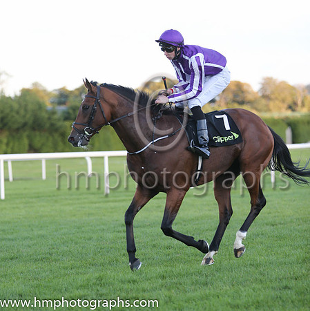 4th Sir Isaac Newton ( 7 ) - purple, white seams ( Joseph O'Brien ) : Trainer - A P O'Brien