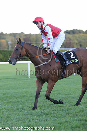 1st Custom Cut ( 2 ) - red, white epaulettes ( Daniel Tudhope ) : Trainer - David O'Meara