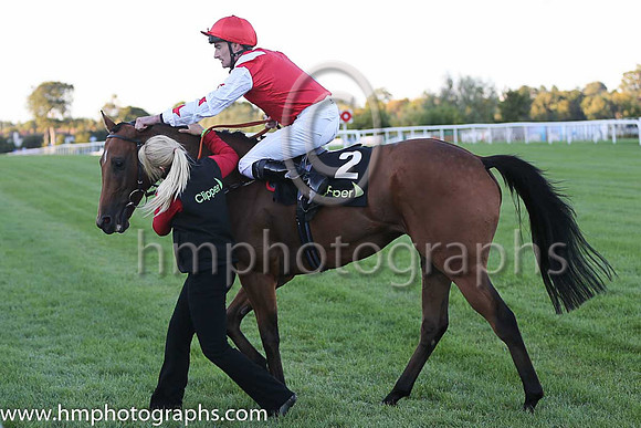 1st Custom Cut ( 2 ) - red, white epaulettes ( Daniel Tudhope ) : Trainer - David O'Meara