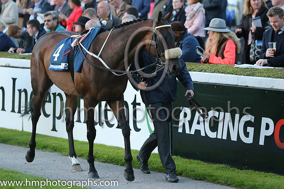 5th Eastern Rules ( 4 ) - white, yellow epaulettes ( Conor Hoban ) : Trainer - M Halford