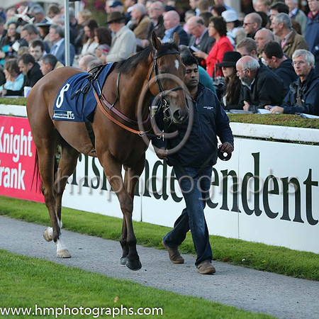 15th Hes Our Music ( 8 ) - royal blue, black and emerald green qtrd cap ( Denis Linehan ) : Trainer - Patrick J Flynn