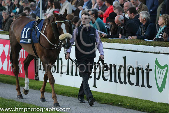 11th Rummaging ( 11 ) - darkblue and yellow qtrd ( Conor McGovern ) : Trainer - M Halford