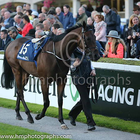 9th Bishan Bedi ( 15 ) - orange, royal blue hoop ( Ana O'Brien ) : Trainer - A P O'Brien