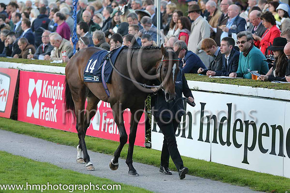 4th Colour Blue ( 14 ) - red, yellow seams ( Robbie Downey ) : Trainer - W McCreery