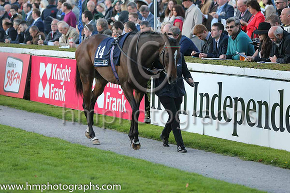 4th Colour Blue ( 14 ) - red, yellow seams ( Robbie Downey ) : Trainer - W McCreery