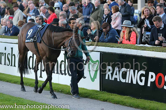 3rd Seanie ( 9 ) - red, white hoop ( Connor King ) : Trainer - David Marnane