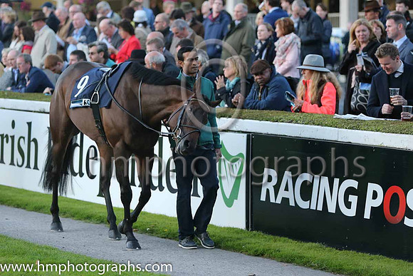 3rd Seanie ( 9 ) - red, white hoop ( Connor King ) : Trainer - David Marnane