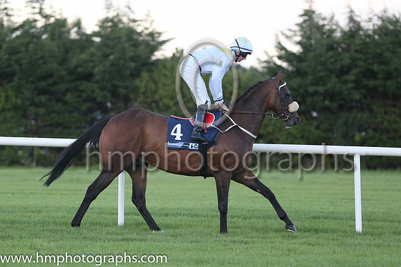 5th Eastern Rules ( 4 ) - white, yellow epaulettes ( Conor Hoban ) : Trainer - M Halford