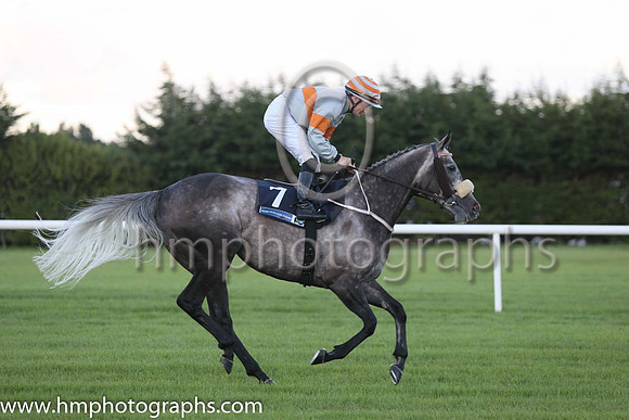 7th Slipper Orchid ( 7 ) - grey, orange hoop ( Shane Foley ) : Trainer - M Halford