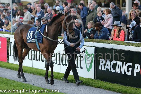 12th Buenos Y Bobos ( 18 ) - yellow, red epaulettes ( Declan McDonogh ) : Trainer - G M Lyons