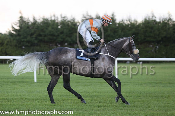 7th Slipper Orchid ( 7 ) - grey, orange hoop ( Shane Foley ) : Trainer - M Halford