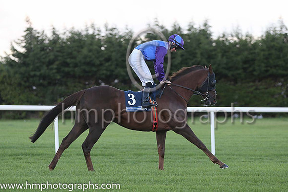 8th Bold Thady Quill ( 3 ) - royal blue and purple hlvd ( Sean Corby ) : Trainer - K J Condon