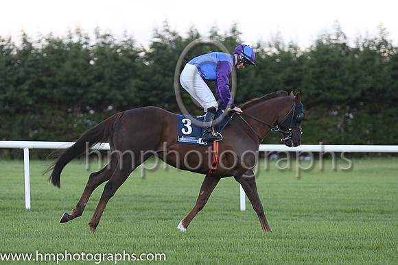 8th Bold Thady Quill ( 3 ) - royal blue and purple hlvd ( Sean Corby ) : Trainer - K J Condon