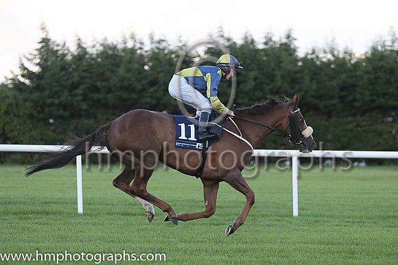 11th Rummaging ( 11 ) - darkblue and yellow qtrd ( Conor McGovern ) : Trainer - M Halford
