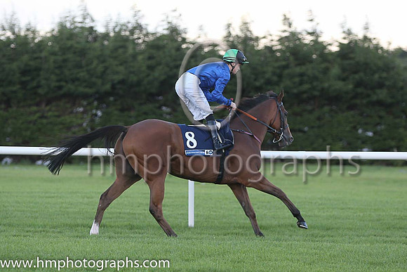 15th Hes Our Music ( 8 ) - royal blue, black and emerald green qtrd cap ( Denis Linehan ) : Trainer - Patrick J Flynn