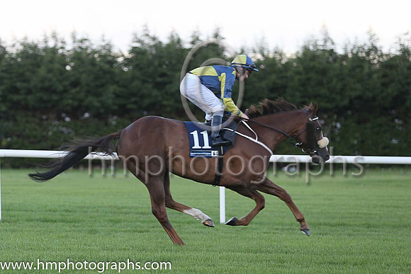 11th Rummaging ( 11 ) - darkblue and yellow qtrd ( Conor McGovern ) : Trainer - M Halford