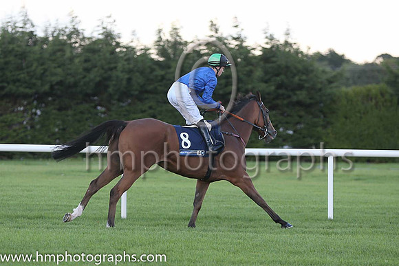 15th Hes Our Music ( 8 ) - royal blue, black and emerald green qtrd cap ( Denis Linehan ) : Trainer - Patrick J Flynn