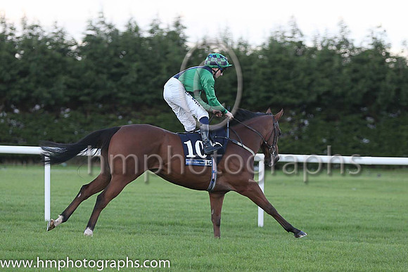 6th Have A Nice Day ( 10 ) - emerald green, dark blue cross sashes ( Chris Hayes ) : Trainer - Sabrina J Harty