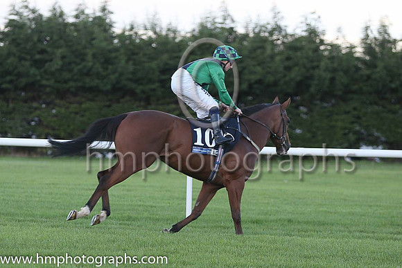 6th Have A Nice Day ( 10 ) - emerald green, dark blue cross sashes ( Chris Hayes ) : Trainer - Sabrina J Harty