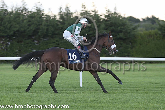 13th Roachdale House ( 16 ) - dark green, white sleeves ( Leigh Roche ) : Trainer - D K Weld