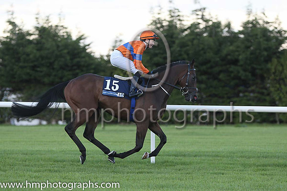 9th Bishan Bedi ( 15 ) - orange, royal blue hoop ( Ana O'Brien ) : Trainer - A P O'Brien