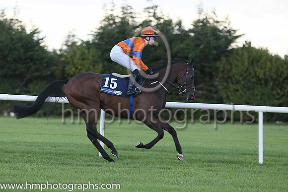 9th Bishan Bedi ( 15 ) - orange, royal blue hoop ( Ana O'Brien ) : Trainer - A P O'Brien