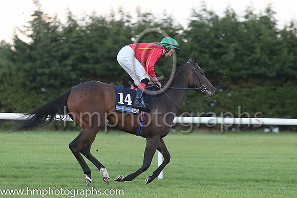 4th Colour Blue ( 14 ) - red, yellow seams ( Robbie Downey ) : Trainer - W McCreery