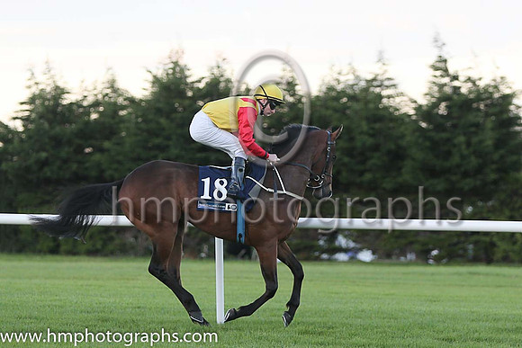 12th Buenos Y Bobos ( 18 ) - yellow, red epaulettes ( Declan McDonogh ) : Trainer - G M Lyons