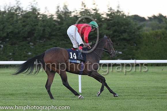4th Colour Blue ( 14 ) - red, yellow seams ( Robbie Downey ) : Trainer - W McCreery