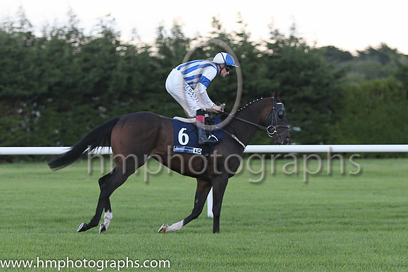 16th Stay De Night ( 6 ) - royal blue and white stripes ( Pat Smullen ) : Trainer - D K Weld
