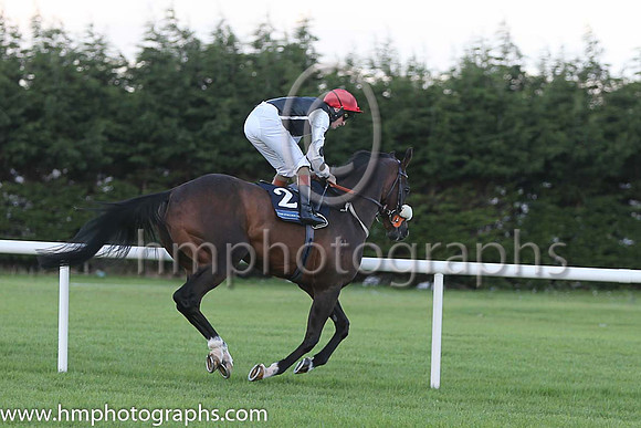 1st Kelinni ( 2 ) - black, white seams ( Gary Halpin ) : Trainer - Kevin Ryan