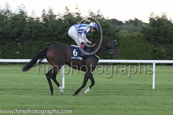 16th Stay De Night ( 6 ) - royal blue and white stripes ( Pat Smullen ) : Trainer - D K Weld