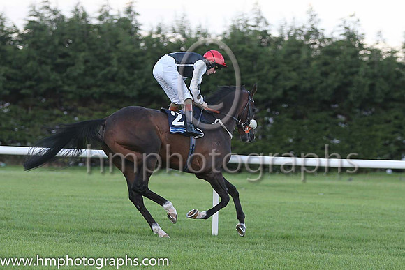 1st Kelinni ( 2 ) - black, white seams ( Gary Halpin ) : Trainer - Kevin Ryan