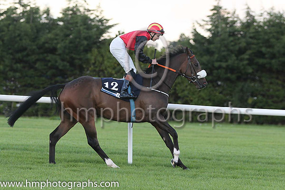 10th Mandamus ( 12 ) - red, yellow panel, black sleeves ( Ronan Whelan ) : Trainer - Ms Sheila Lavery