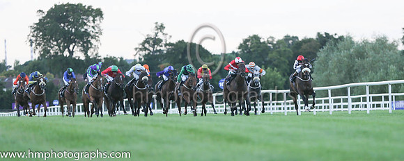 1st Kelinni ( 2 ) - black, white seams ( Gary Halpin ) : Trainer - Kevin Ryan