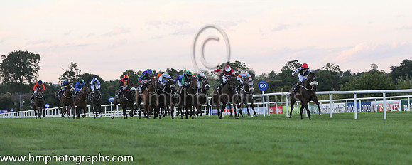 10th Mandamus ( 12 ) - red, yellow panel, black sleeves ( Ronan Whelan ) : Trainer - Ms Sheila Lavery