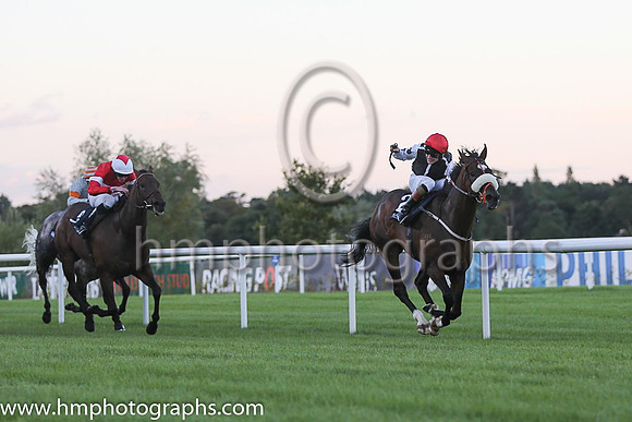 1st Kelinni ( 2 ) - black, white seams ( Gary Halpin ) : Trainer - Kevin Ryan