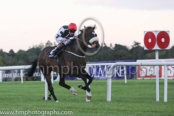 10th Mandamus ( 12 ) - red, yellow panel, black sleeves ( Ronan Whelan ) : Trainer - Ms Sheila Lavery