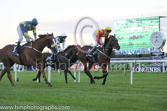 12th Buenos Y Bobos ( 18 ) - yellow, red epaulettes ( Declan McDonogh ) : Trainer - G M Lyons
