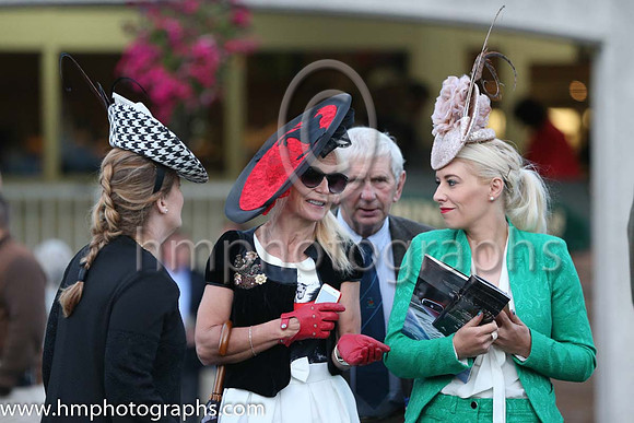 Ladies at The Longines Irish Chamions weekend at Leopardstown