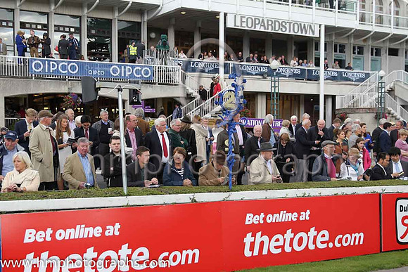 Spectators at Leopardstown